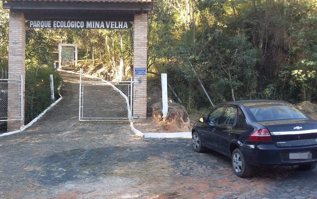 Divulgação