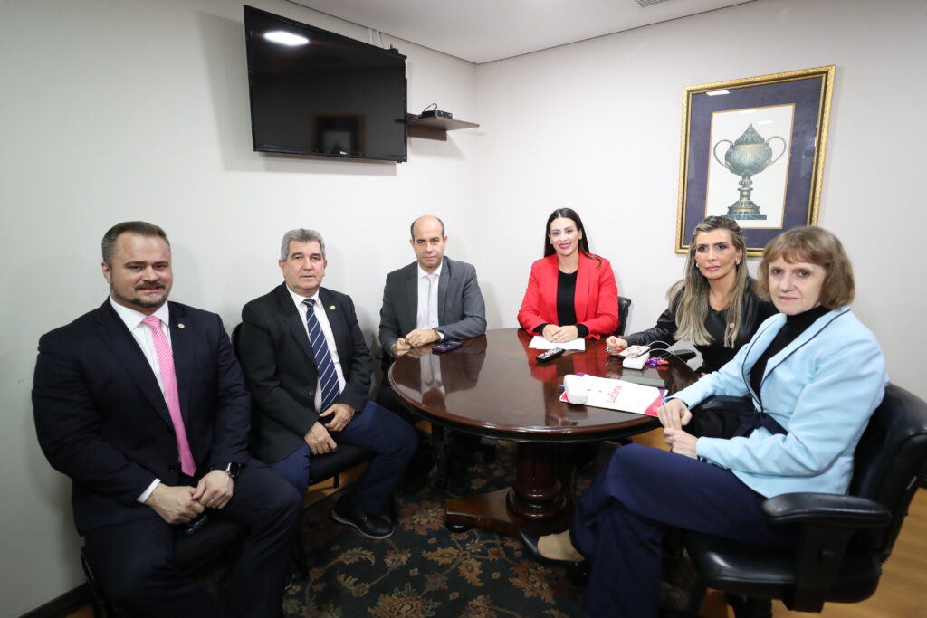 Comissão finaliza o Código do Autismo do Paraná