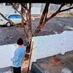 Vídeo mostra carro ATROPELANDO e matando CÃO por diversão (assistam)