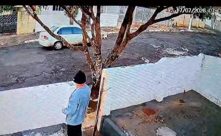 TUTOR de CACHORRO atropelado denuncia caso para Polícia Civil