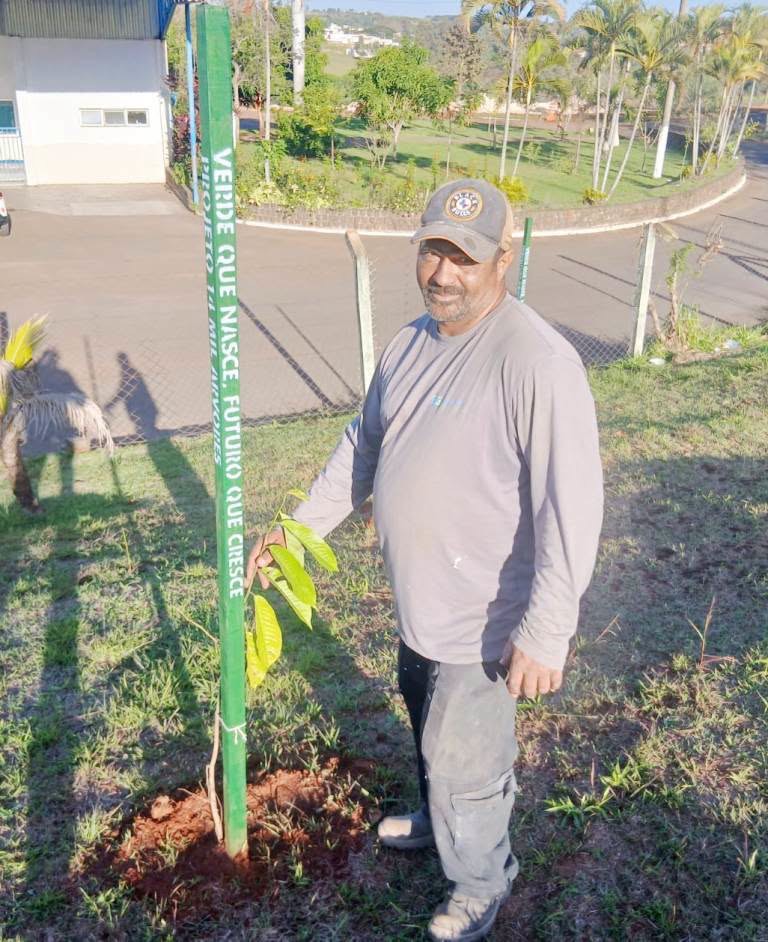 Plano de Arborização segue em expansão em S.A. da PLATINA