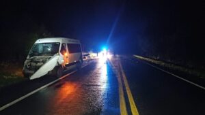 Microônibus da saúde ATROPELA BÚFALOS