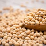 Excesso de CHUVAS atrasa plantio da soja no NORTE PIONEIRO